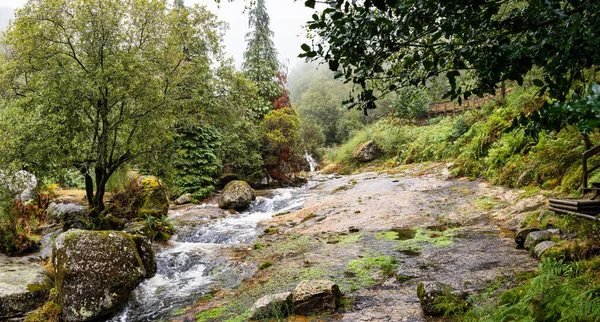 Lesní Řeka Podzimní Sezóně Národní Park Peneda Ger Podzimní Koncepce — Stock fotografie