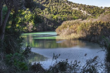 Ağaç Ağacı kıvrımlı nehir, güzel doğal kıvrımlarla bitki örtüsünü kucaklıyor.