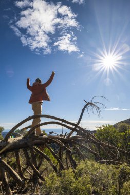 Muzaffer adam, kolları havada, devrilmiş bir ağaçtan ufuk çizgisi izliyor. Kendini geliştirme, başarı ve kişisel başarı imajı.