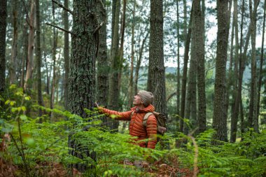 Turuncu ceketli ve şapkalı orta yaşlı bir adam eğreltiotu, sürdürülebilirlik ve doğa aşkı olan bir ormanın ortasında bir ağaç gövdesine hayran ve dokunuyor..
