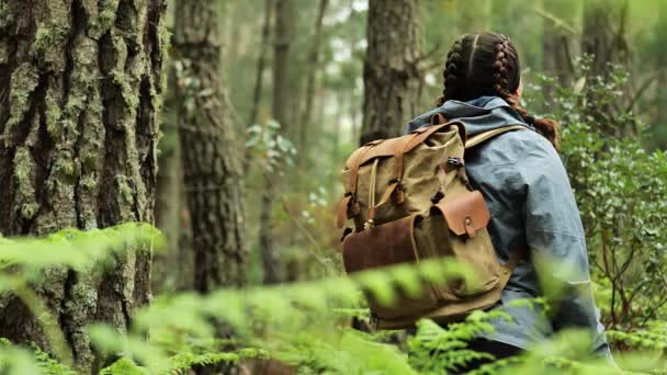 Young Woman Hiker Walking Admiring Her Surroundings Middle Forest Enjoying — Αρχείο Βίντεο