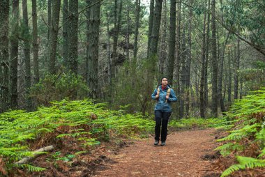 Sırt çantasıyla çam ağaçlarından ve eğreltiotlarından oluşan bir ormanı keşfeden genç kız merakla ve hayranlıkla çevresine bakıyor, doğa sevgisi ve sürdürülebilirlik, yatay çekim..