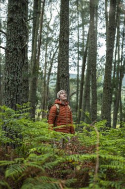 Orta yaşlı, sırt çantalı, çam ormanının ortasında beyaz bir adam. Arbole hayranlık ve saygıyla bakıyor..