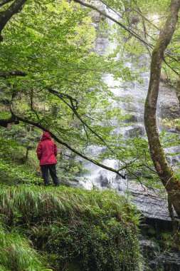 Sırtında kırmızı ceketi olan biri Bask Bölgesi 'nde bir ormanın ortasında şelaleye bakıyor..