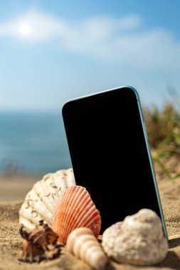 Deniz kabuklarının, deniz kenarındaki küçük bir kumulun kumlarına yerleştirilmiş dikey görüntüsü. Aralarında bir cep telefonu var..