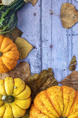 Kurumuş yaprakları ve kopyalama alanı olan dört L şeklinde balkabağı.