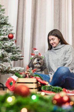 Dikey yakın plan fotoğraf. Kadın Noel Baba şapkası takan siyah beyaz köpeğini beslerken köpek kameraya mutlu bir şekilde bakıyor. Sıcak ve şenlikli bir sahne.