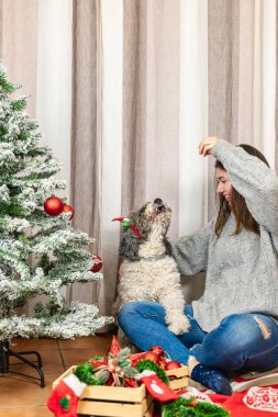 Ağacın önünde bacak bacak üstüne atmış bir kadının dikey fotoğrafı. Onun siyah ve beyaz su köpeği bir tedavi alırken patisini bacağının üzerinde dinlendiriyor. Noel süslemeleri görünür.