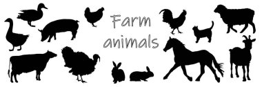 Çiftlik hayvanları. Çiftlik hayvanlarının siyah siluetleri. At, keçi, inek, tavuk, horoz, kaz, ördek, hindi, domuz, keçi, kedi. Gölgeler, siyah ve beyaz