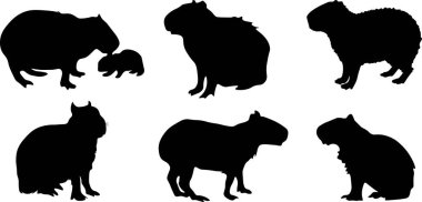 Capybara siluetleri. Tatlı Capybara. Komik daire koleksiyonu. Kawaii el çizimi Capybara, izole tasarım