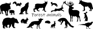 Orman hayvanları. Ormanda yaşayan hayvanların siluetleri. Hayvan gölgeleri. Ayı, kurt, tilki, sincap, vaşak, sülün, tavşan, gelincik, kirpi, geyik, yaban domuzu