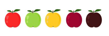 Kırmızı, yeşil ve sarı elma seti. Taze renkli meyve koleksiyonu. Farklı renkte ve farklı dönemlerde elmalar. Sağlıklı yeme kavramı