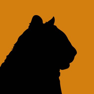 Turuncu arka planda siyah kaplan profili silueti