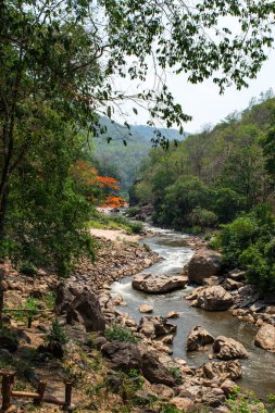 Ob Luang Tayland nehir manzarası öğleden sonra ağaçlar, kayalar ve su akıntısı, Chiang Mai vilayeti, Chom tangası