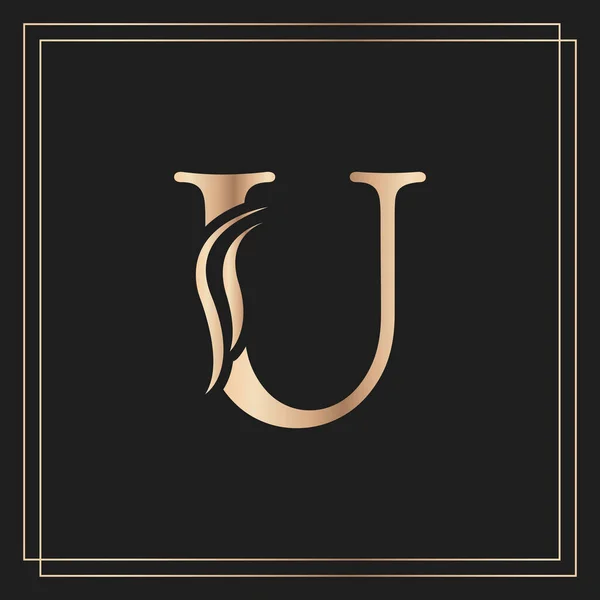 优雅的字母U优雅的皇家书法美丽的标志 书籍设计 品牌名称 精品店或酒店的古董金字 — 图库矢量图片