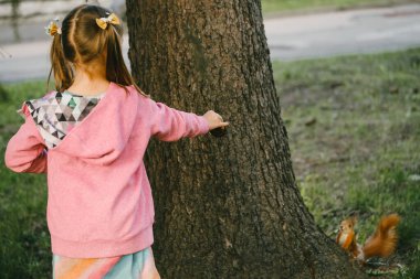 Çocuk parktaki sincaba bakıyor. Arkadan bir kız, yemek bekleyen bir hayvan. Çocuklar için doğa gözlemleri ve aktiviteler. Ağaçtaki meraklı sincap