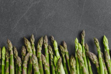 Taş kaplama arka planda taze yeşil kuşkonmaz çizgisi, üst manzara. Banner, boşluğu kopyala