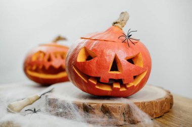 Örümcek ağıyla süslenmiş masada Cadılar Bayramı kıvrımlı balkabakları. Evdeki hologün için ışık