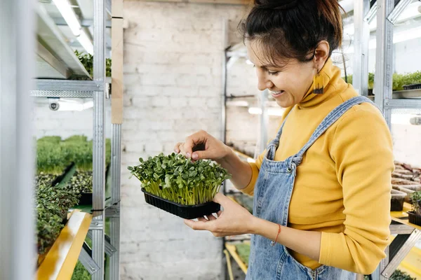 Joven Agricultora Cultivando Microgreens Jardín Vertical Interior Mujer Feliz Cuidando — Foto de Stock
