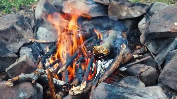 夏日晚上篝火熊熊燃烧 露营时被石头围住的火堆 — 图库视频影像