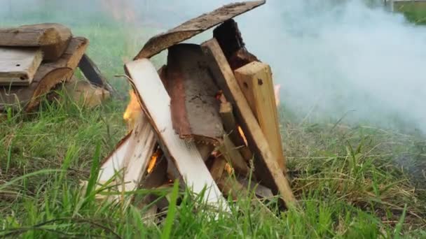 在篝火中烧柴 准备木炭 红色的火焰在木柴特写上失火 — 图库视频影像