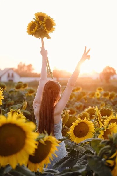 Woman Sunflower Field Young Cheerful Person Holding Hands Air Looking — Stock Photo, Image