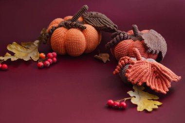 Örülmüş balkabağı manzarası. Koyu kırmızı arkaplanda güz yaprakları ve böğürtlenlerle örülmüş sonbahar dekoru. Boşluğu kopyala