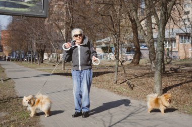 İki köpeğiyle şehirde yürüyen kıdemli bir kadın. Evcil hayvanları olan yaşlı bir kadın vücudunu sağlıklı ve sekseninde sağlıklı tutuyor. Aktif yaşlı köpek sever, akıl sağlığıyla ilgileniyor.