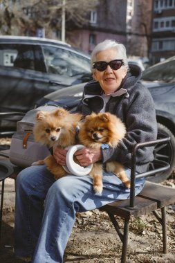 80. yaşını doldurmuş yaşlı bir kadın ve iki köpeği kentteki yürüyüş sırasında bankta oturuyor. Yaşlılar için hayvanlara ve ruh sağlığına bakmak