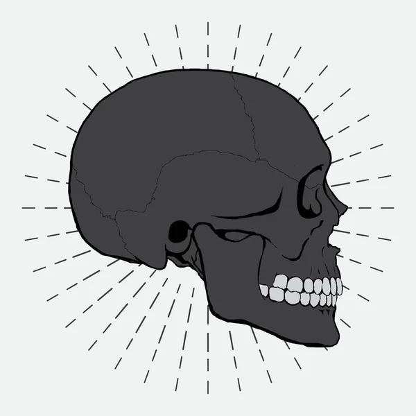Cráneo Ilustración Vector Diseño Sunburst Fondo — Archivo Imágenes Vectoriales