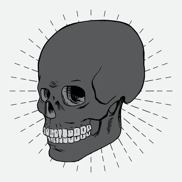 Illustration Crâne Dessin Vectoriel Sur Fond Coup Soleil — Image vectorielle