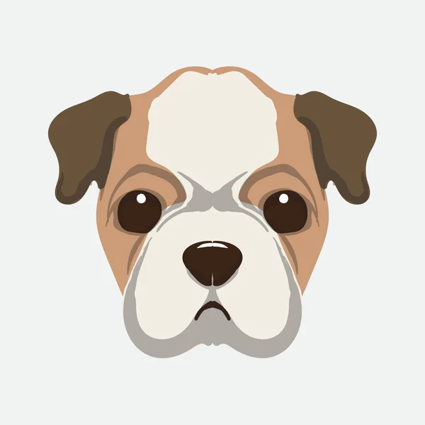 Ilustrasi Vektor Logo Kepala Anjing Kepala Breed Anjing Yang Digambar - Stok Vektor
