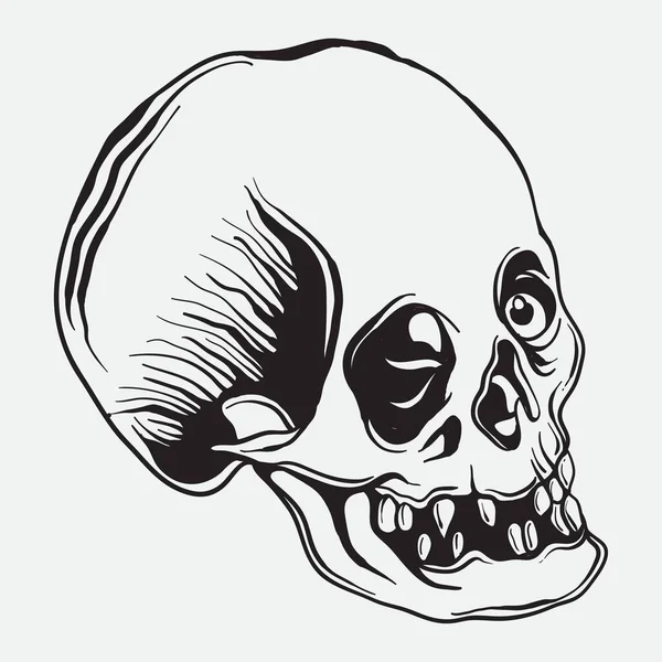 Crâne Humain Illustration Vectorielle Art Ligne Art Crâne Humain Crâne — Image vectorielle