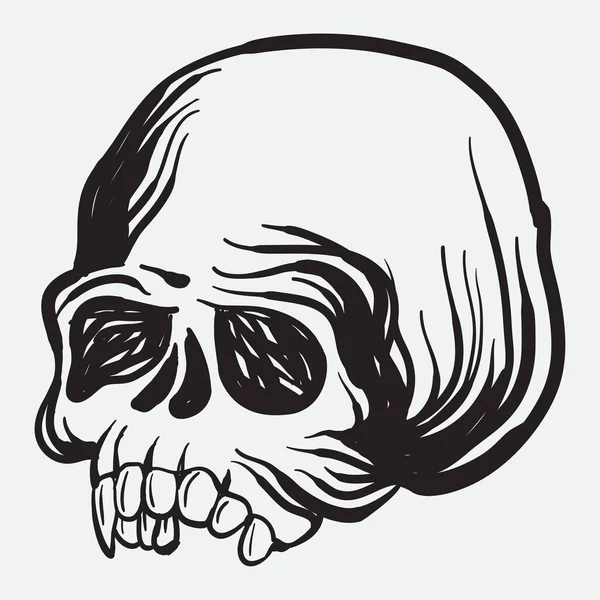 Human Skull Art Vector Illustration Line Art Skull Human Hand — Stock Vector
