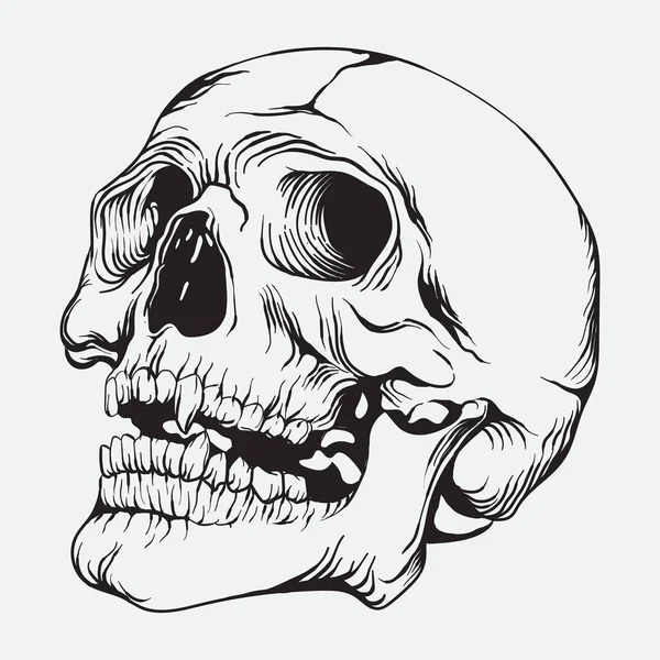 Ilustración Del Vector Del Arte Del Cráneo Humano Arte Línea — Archivo Imágenes Vectoriales