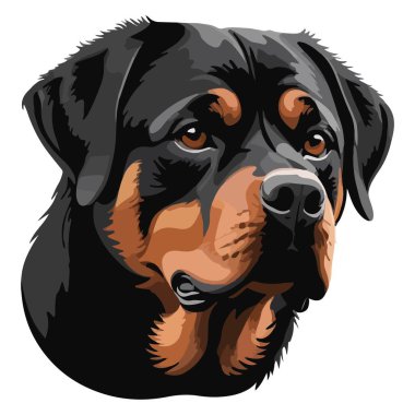 Rottweiler köpek çizimi tasarım vektör biçimi maskot ve çizgi film tasarımı için mükemmel