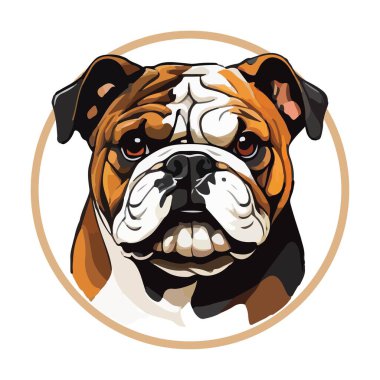 Amerikan Bulldog Düz Simgesi İzole, Bulldog vektör çizimi