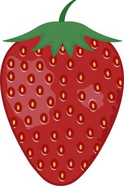Kırmızı çilek taze ve sulu vektör çizimi beyaz arka planda izole, meyve dükkanı için uygun