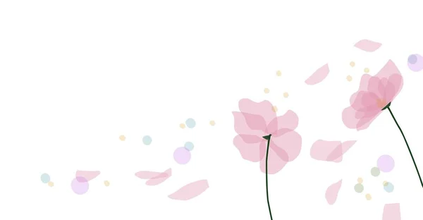 Beyaz Arka Planda Kiraz Çiçekleri Taç Yaprakları — Stok fotoğraf