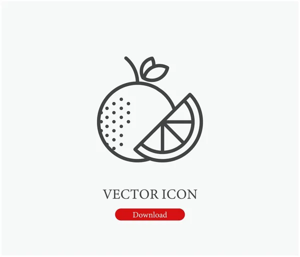 Narancs Vektor Ikon Symbol Line Art Style Design Presentation Website — Stock Vector