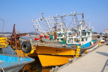 Balıkçı tekneleri. Gungpyeonghang-ro, Seosin-myeon, Hwaseong-si, Gyeonggi-do, Güney Kore.