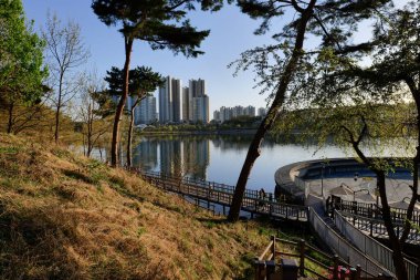 Göl kenarındaki şehir merkezi manzarası. Gwanggyo Gölü Parkı Suwon Kore.