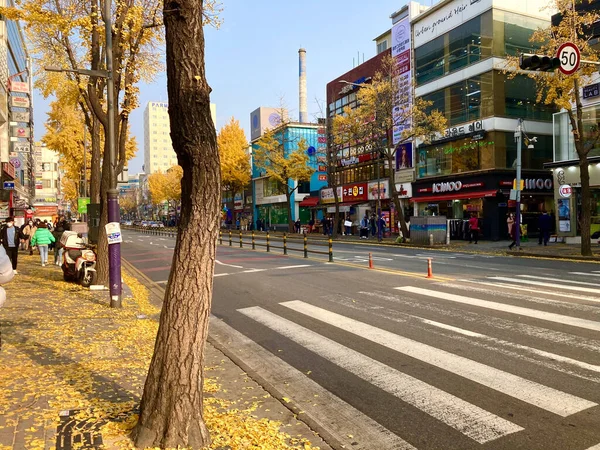 Sonbaharda Güney Kore 'ye giden cadde