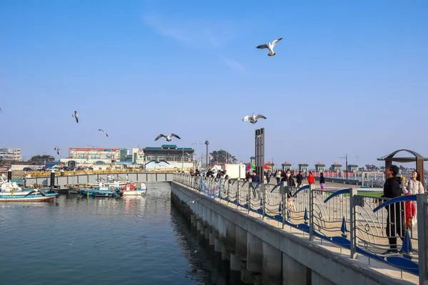 Limanda yürüyen insanlar. Balıkçı tekneleri. Gungpyeonghang-ro, Seosin-myeon, Hwaseong-si, Gyeonggi-do, Güney Kore.
