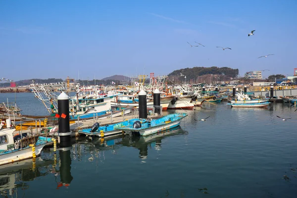 Balıkçı tekneleri. Gungpyeonghang-ro, Seosin-myeon, Hwaseong-si, Gyeonggi-do, Güney Kore.