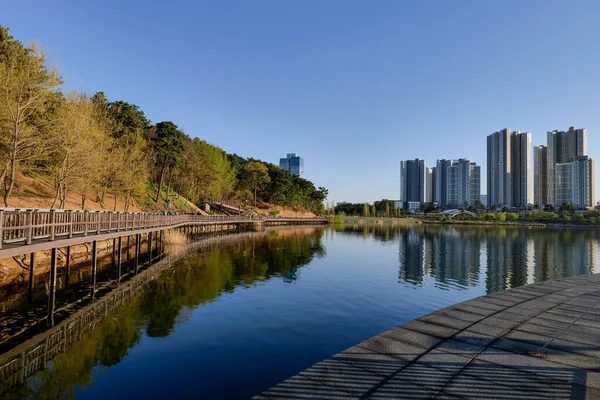 Vue Centre Ville Skyline Avec Lac Gwanggyo Lac Parc Suwon — Photo