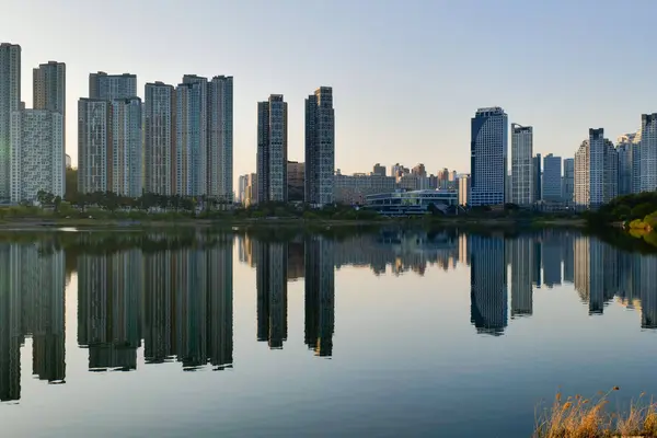 Göl kenarındaki şehir merkezi manzarası. Gwanggyo Gölü Parkı Suwon Kore.