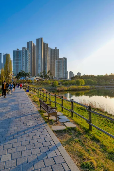 Vista Centro Cidade Skyline Com Lake Gwanggyo Lago Parque Suwon — Fotografia de Stock