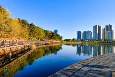 Göl kenarındaki şehir merkezi manzarası. Gwanggyo Gölü Parkı Suwon Kore.