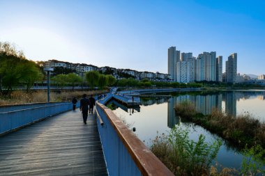 Göl kenarındaki şehir merkezi manzarası. Gwanggyo Gölü Parkı Suwon Kore.